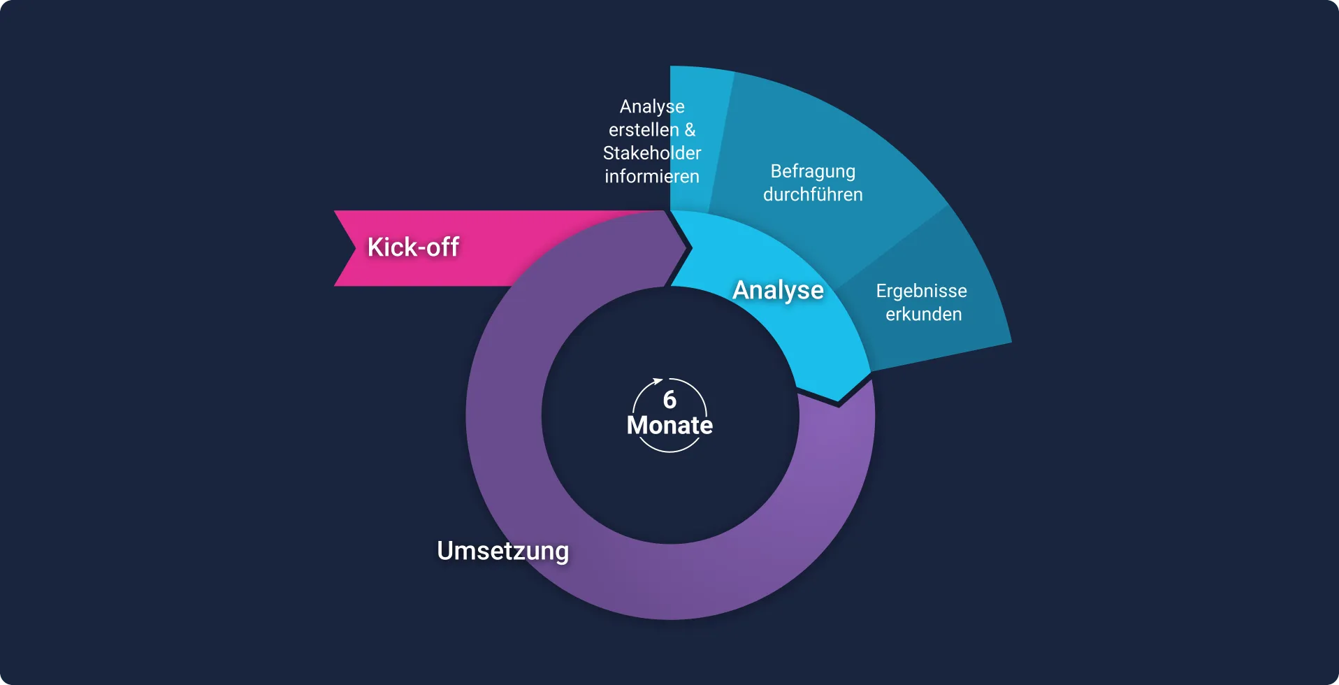 Der Analyse-Kreislauf